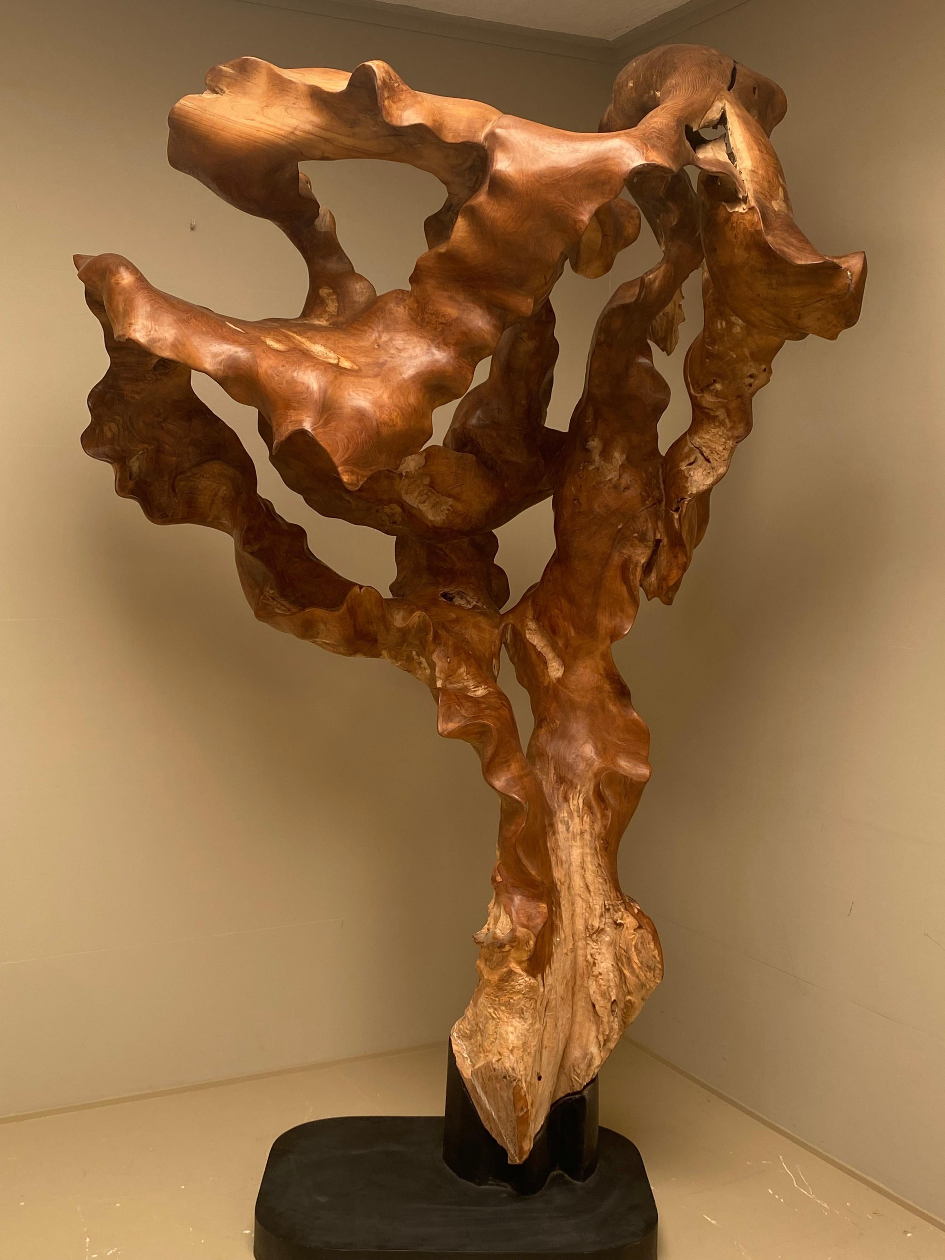 Indonesian Big Scale Abstract Sculpture, Tree Root in Teak Wood. 