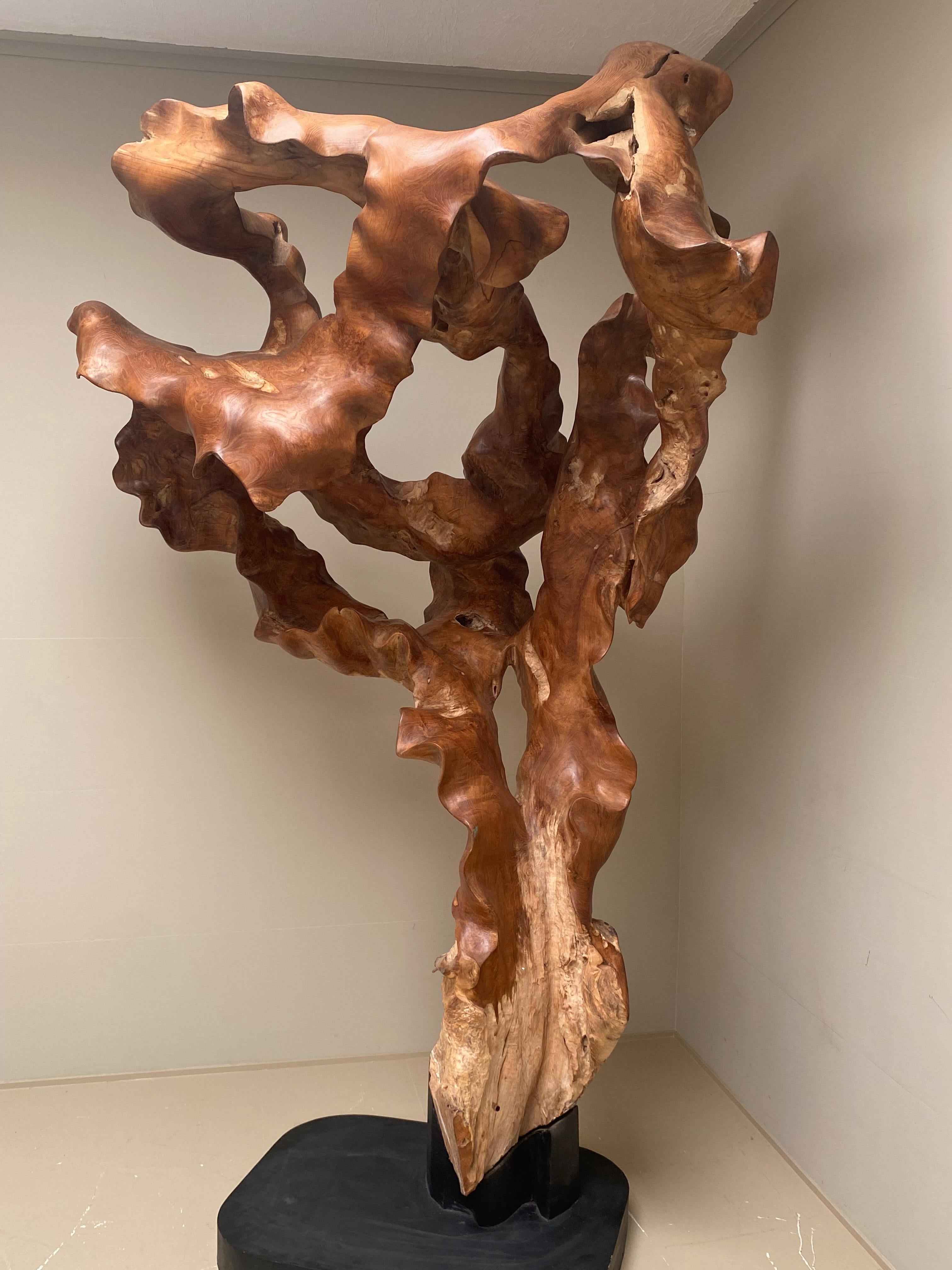 Big Scale Abstract Sculpture, Tree Root in Teak Wood.  In Excellent Condition In Schellebelle, BE
