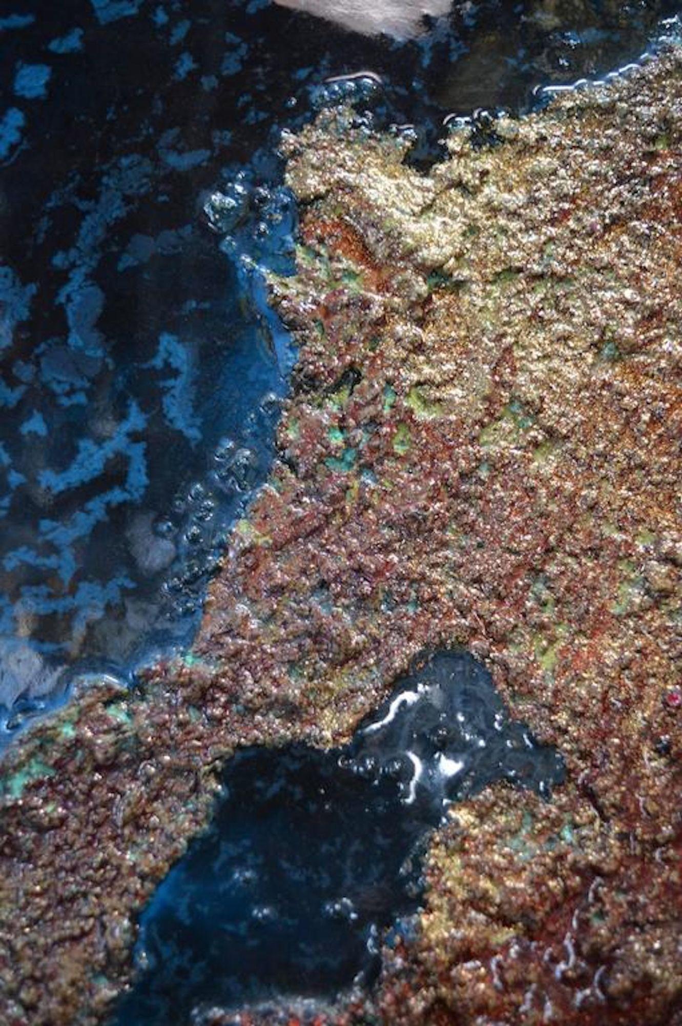 Abstract artwork of Earth's terrain view from space. Three dimensional impasto painting with raised valleys.
 
Dimensions:
 
47.75