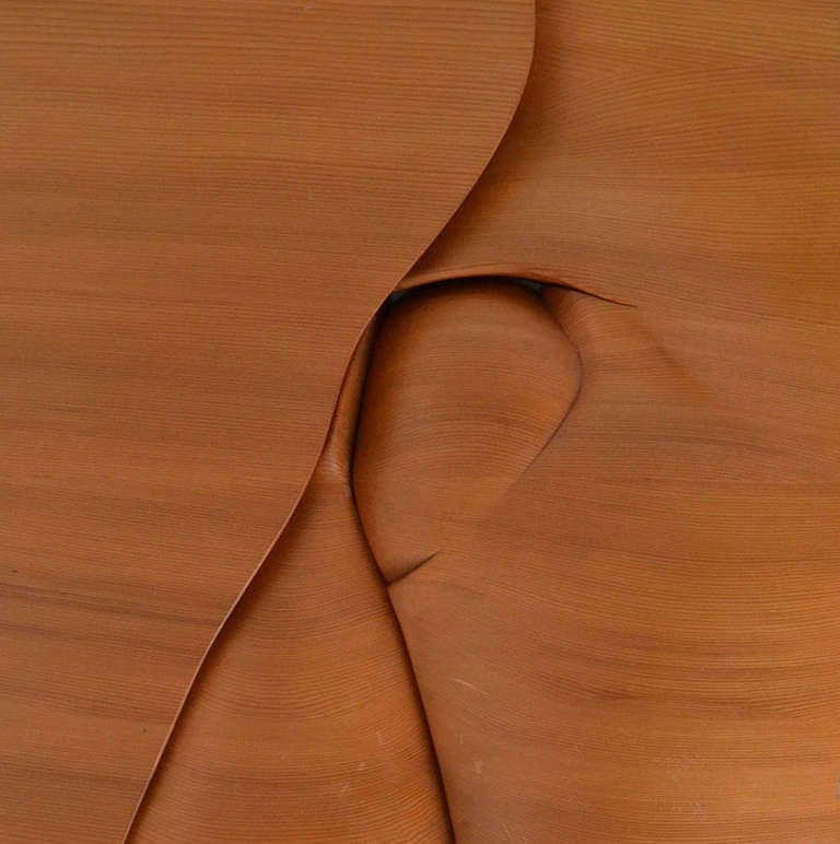 Abstract curvaceous relief  has an organic flow. It is hand carved in pitch pine is named 'Rest Before the Climb' by M.Delaere, Belgium, 1980's. 