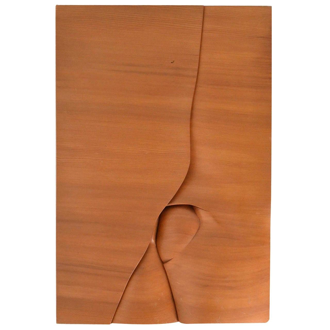 Arte Abstracto Orgánico en Relieve Tallado en Madera