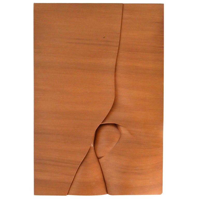Abstract Wood Carved Relief Art For Sale