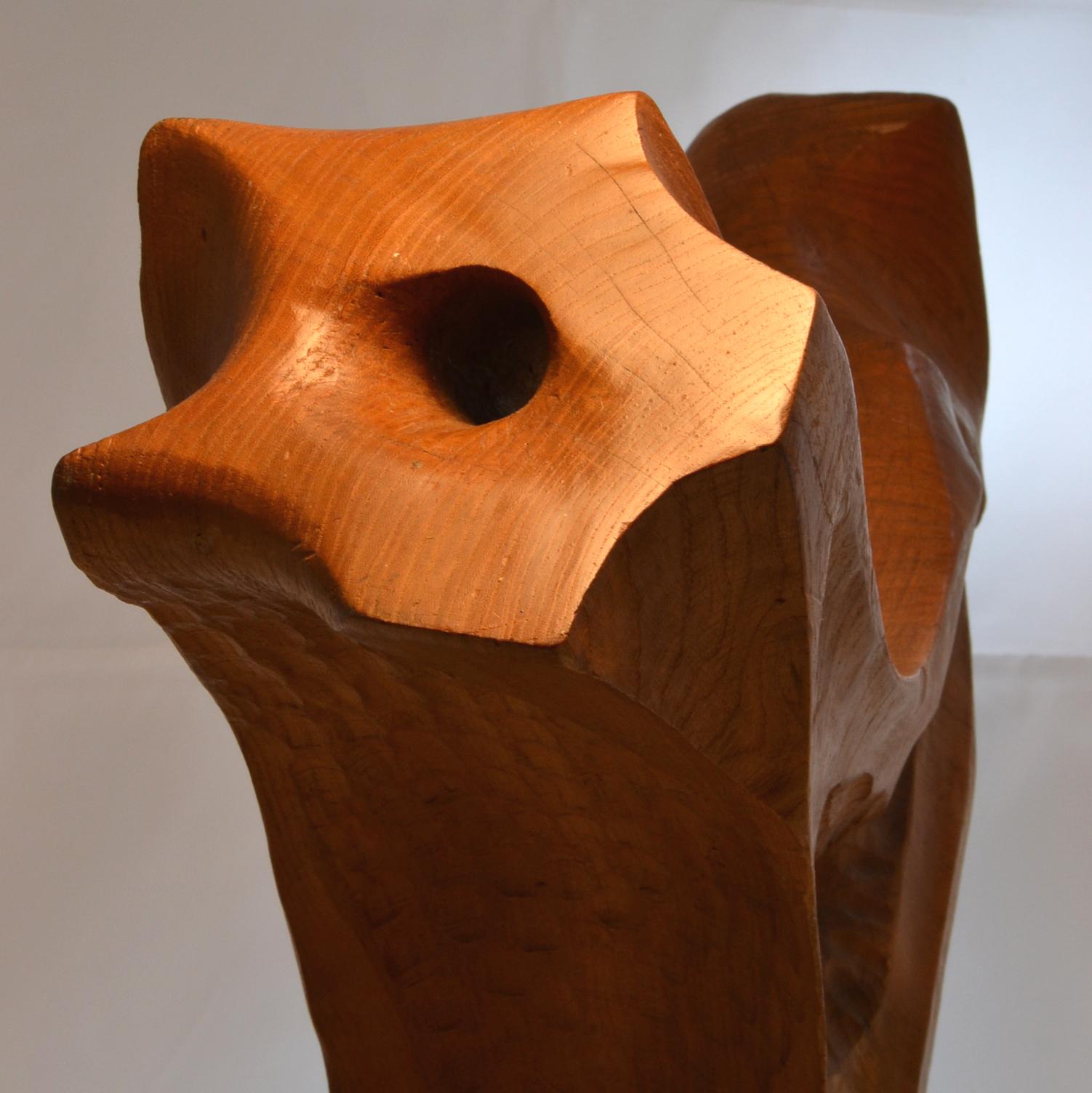 Large Abstract Wooden Hand Carved Sculpture by E. Robson In Excellent Condition For Sale In London, GB