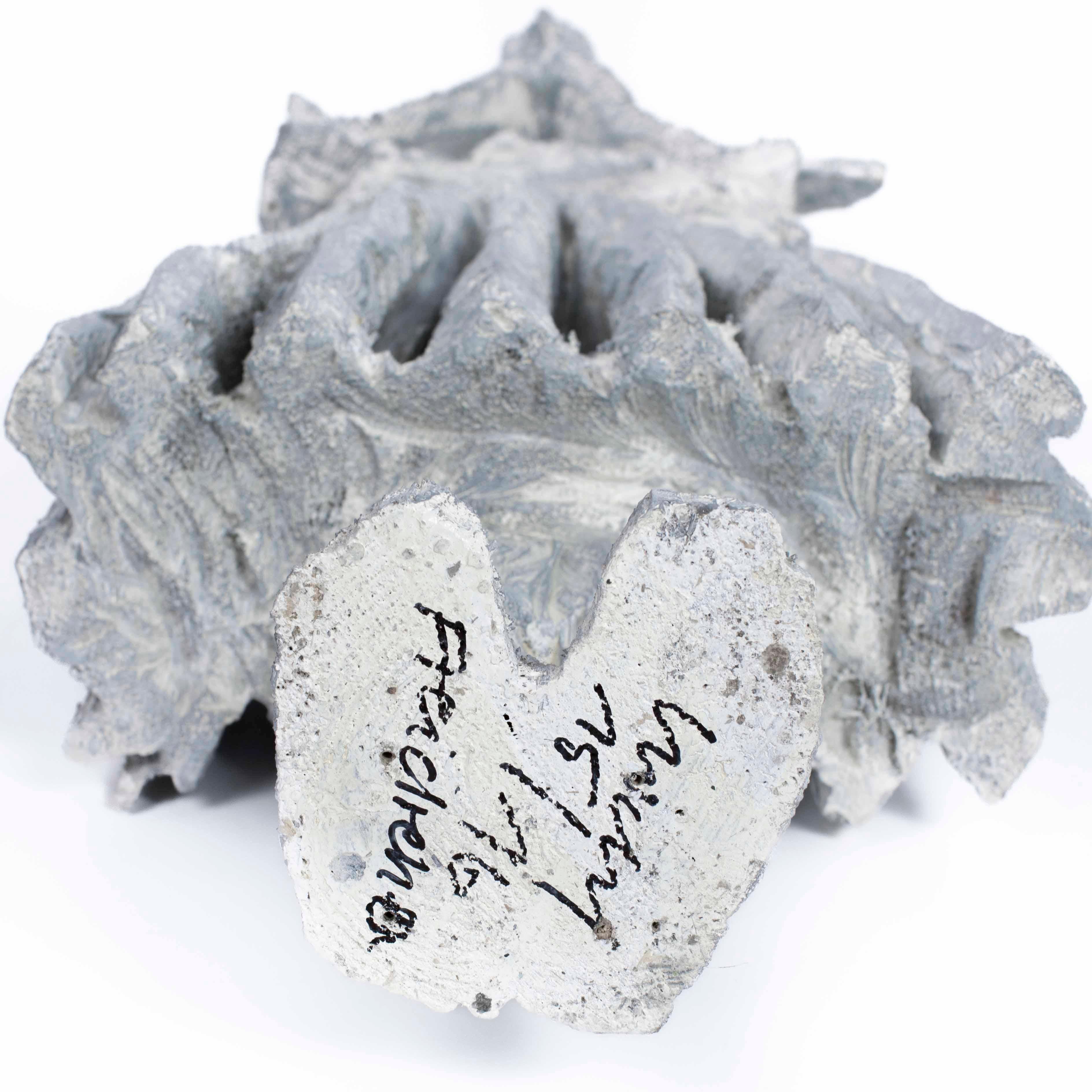 Abstract Wooden Grey-White Sculpture “Free to Turn
