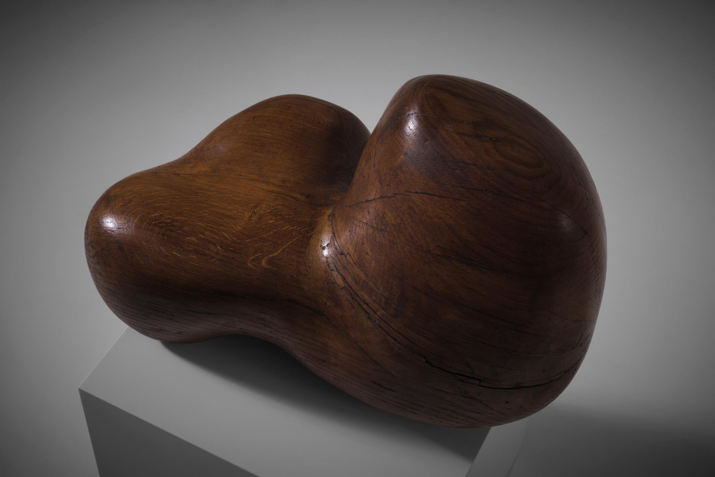 Mid-20th Century Abstract Wooden Sculpture by Hanneke Mols, 1960s For Sale