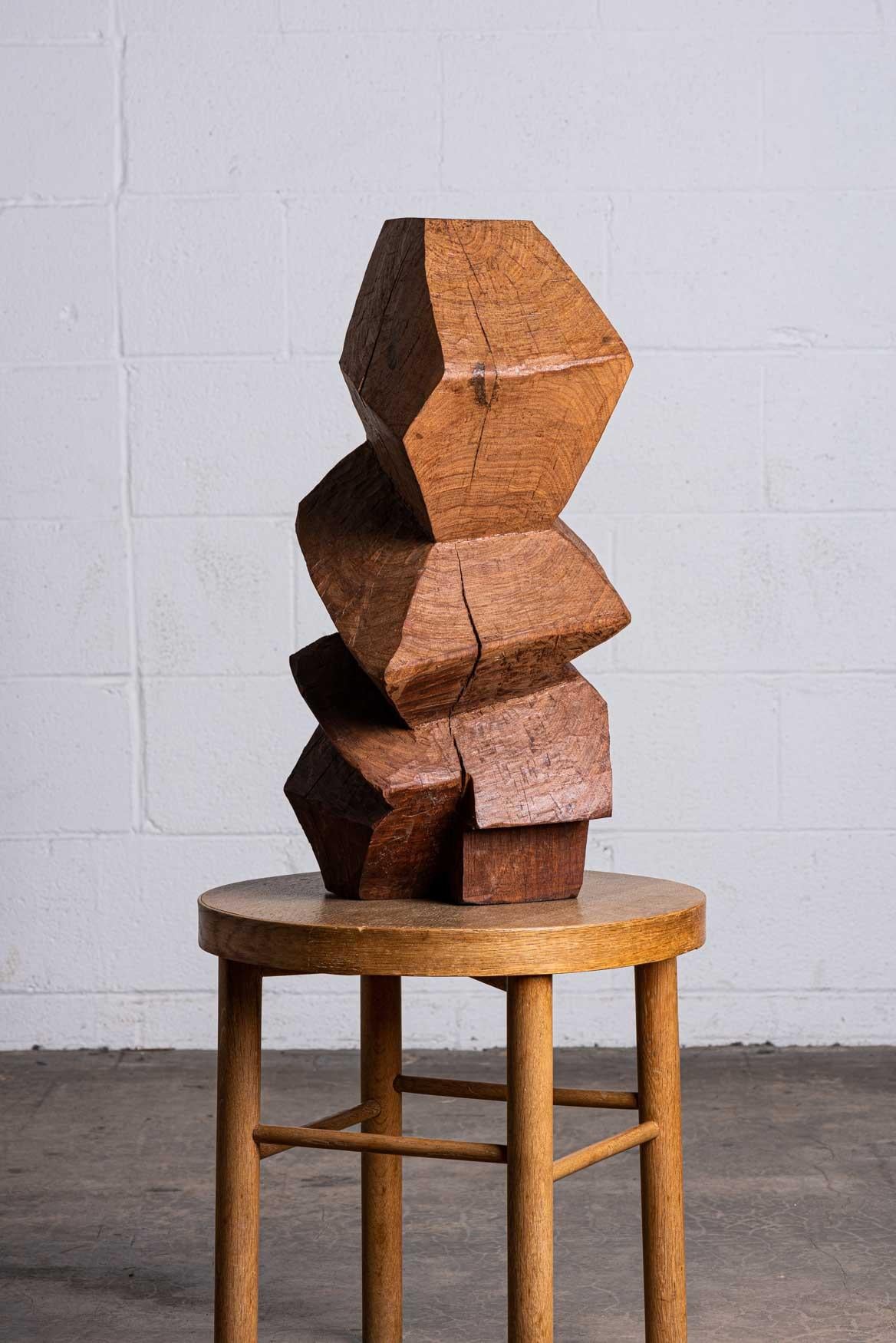 Abstract Wooden Sculpture 6