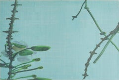 TUMBUH SEIRING TAMPAK BAIK