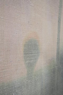 Flores con pistilo naranja amarillento