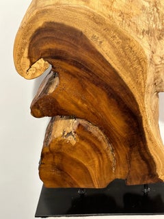 Acacia Organic Raw Edge Slab Sculpture on a Black Rectangular Steel Base