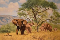 "Acacia Shade" by Anthony Gibbs
