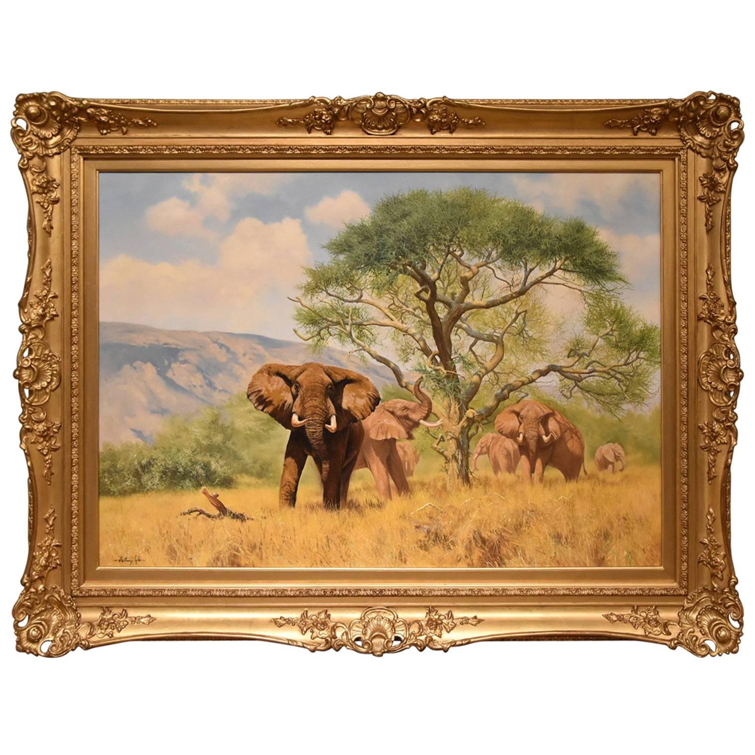 "Acacia Shade" by Anthony Gibbs For Sale