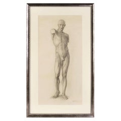 Akademische Zeichnung „Studie zur menschlichen Anatomie“, Lettland (UdSSR) von Beda Dmitry, 1950