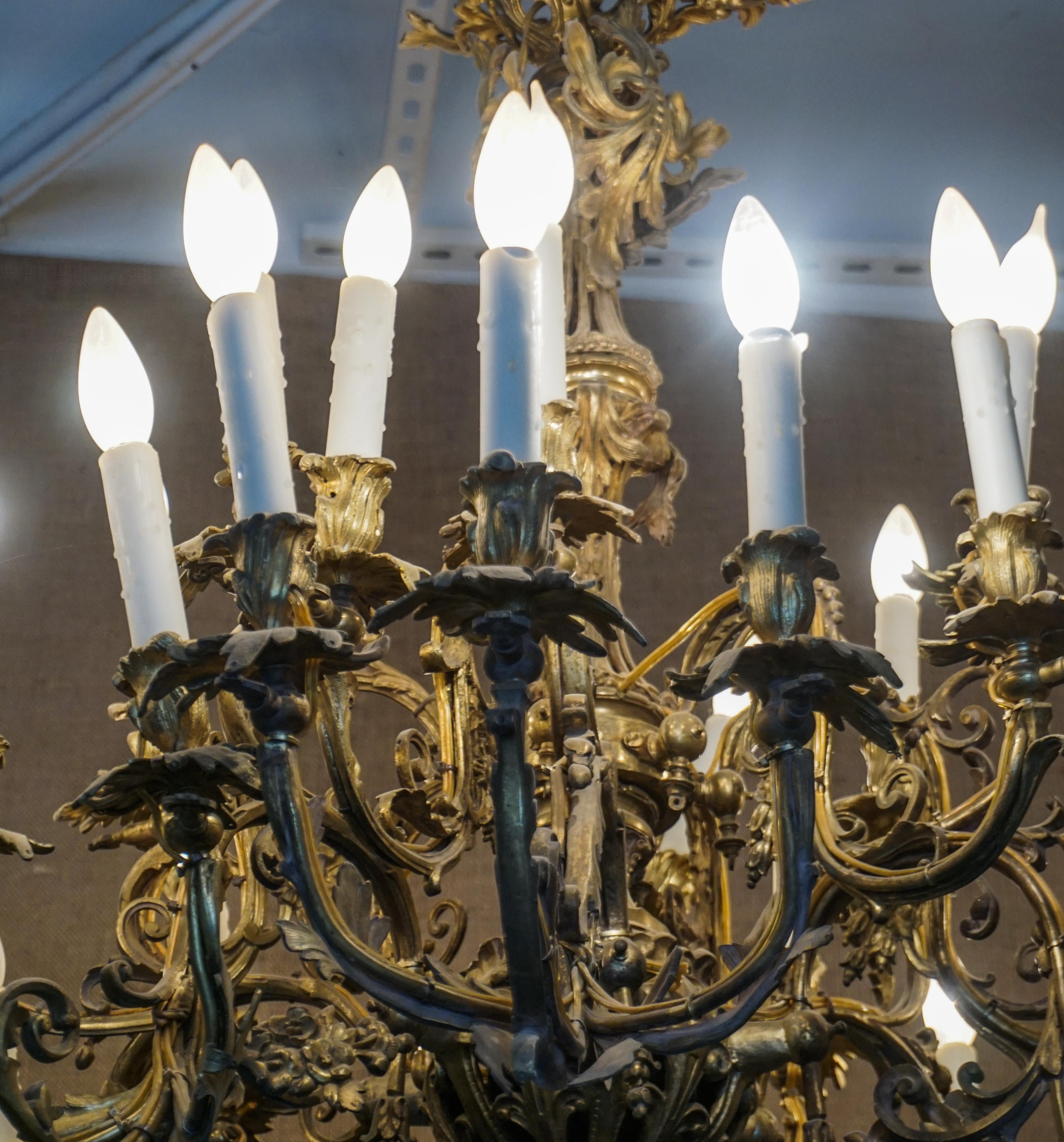 acanthus chandelier