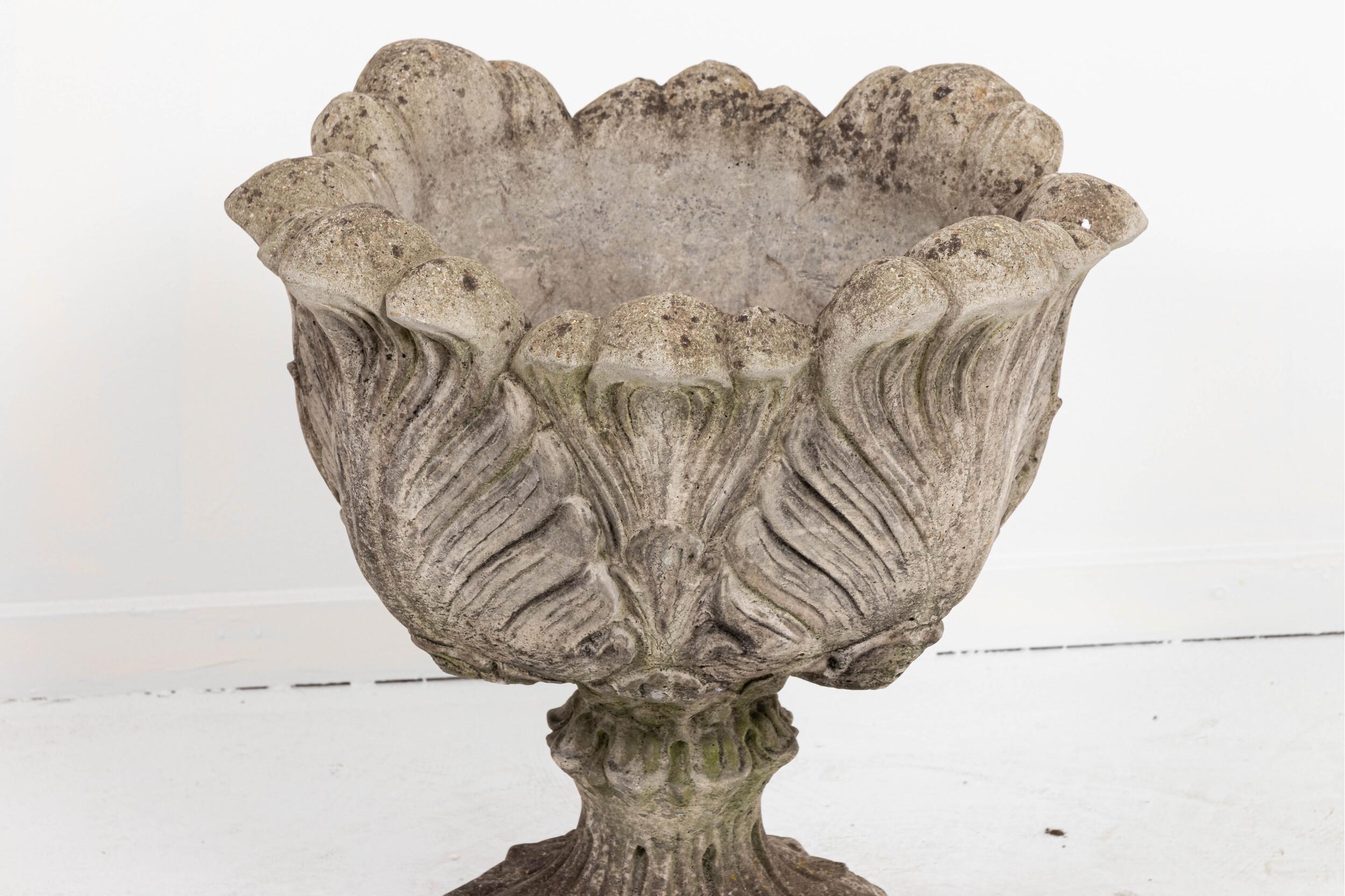 acanthus planter