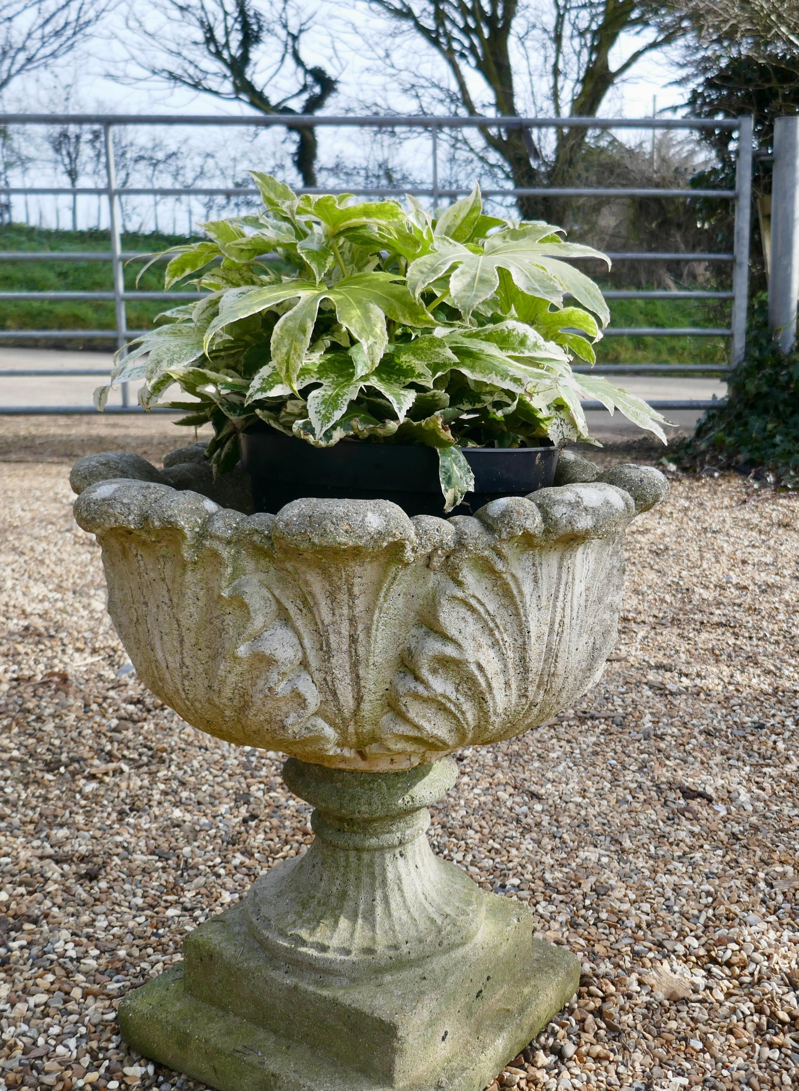 Acanthus leaf weathered garden planter

A good early 20th century planter, it is well weathered and has drainage in the centre, the urn separates into 2 for transportation
In good sound weathered condition, it is 20” high, 20” in diameter
AC119.