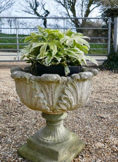Acanthus Leaf Weathered Garden Planter