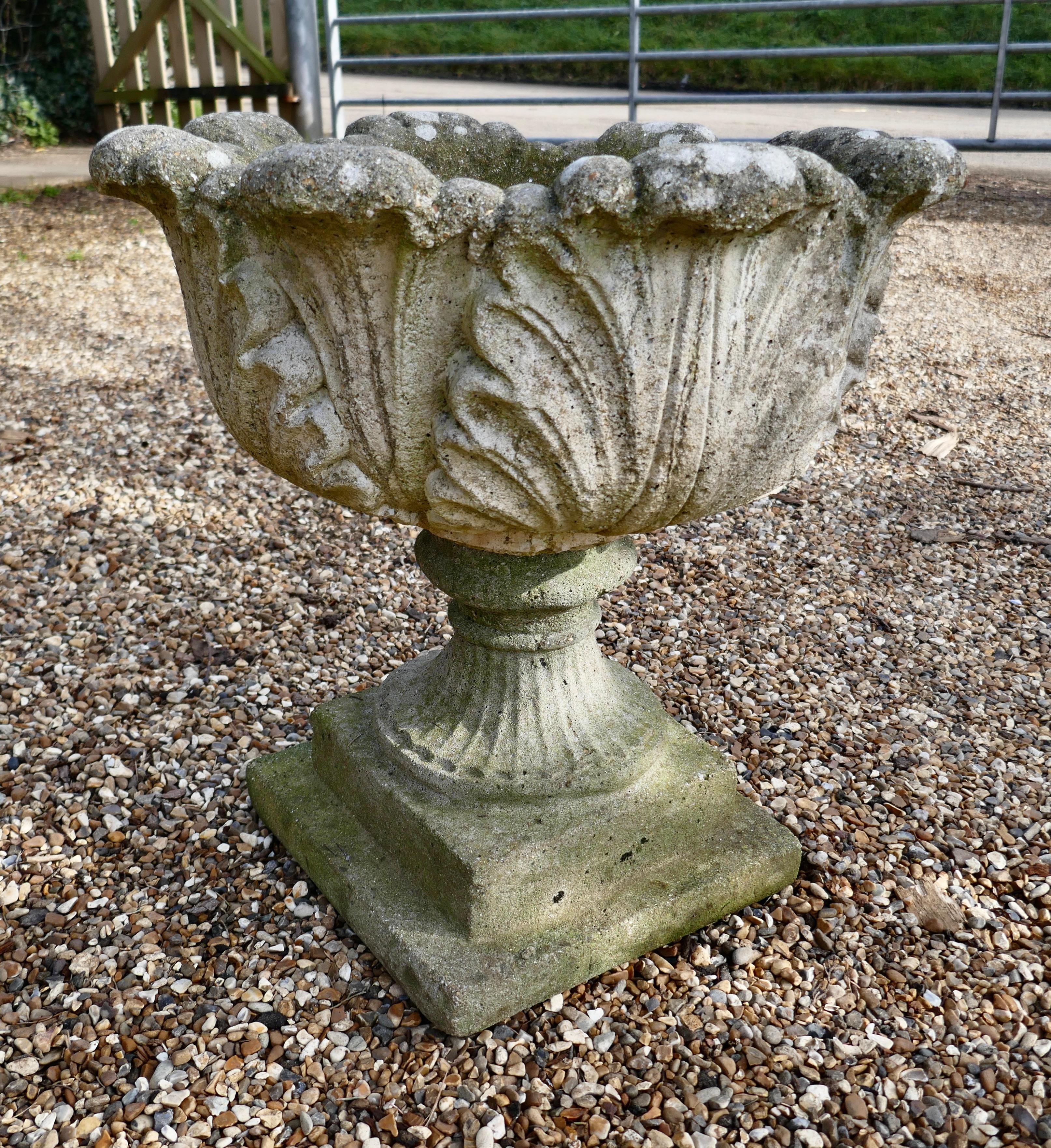 Cement Acanthus Leaf Weathered Garden Planter For Sale