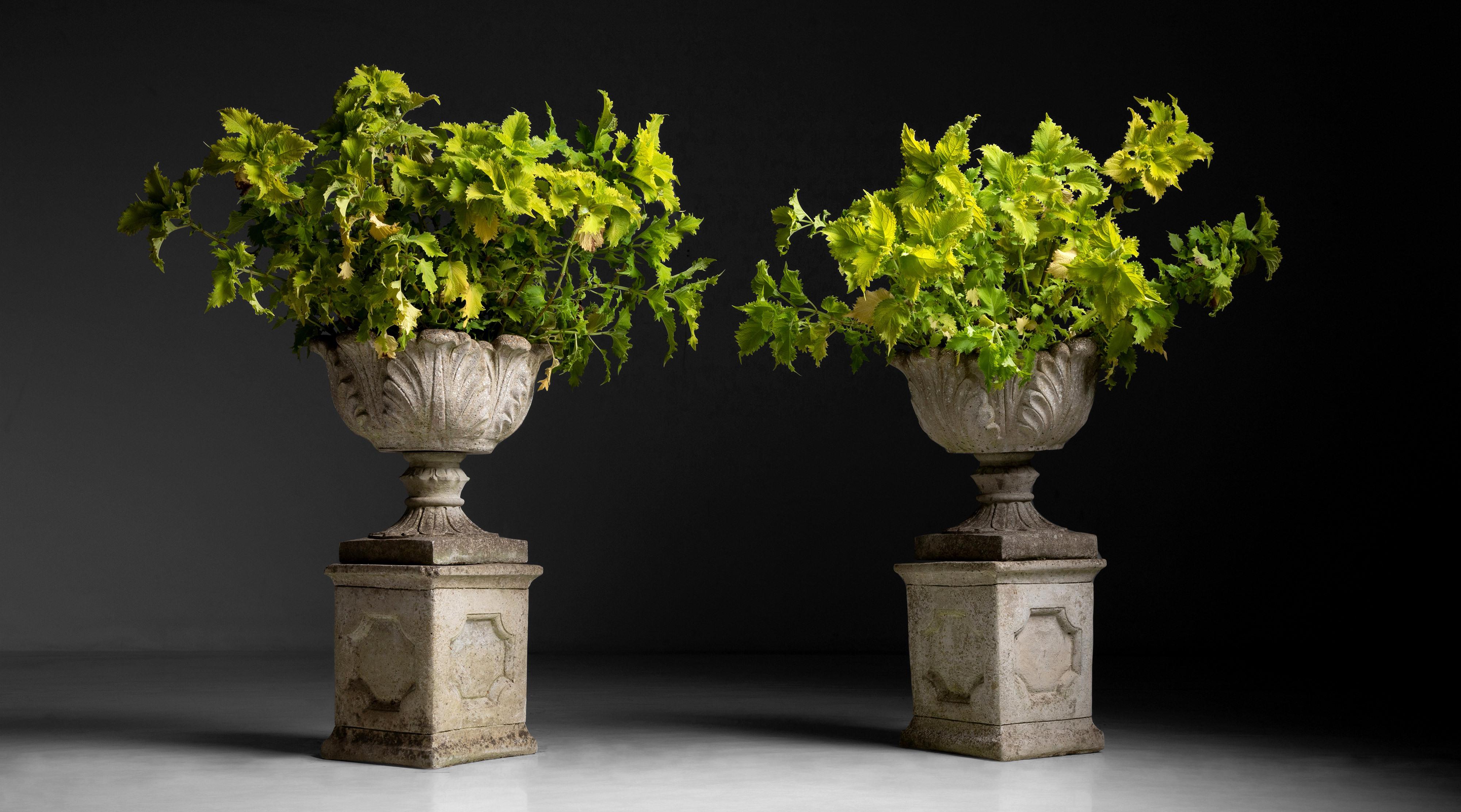 Acanthus Urns

England circa 1950

Composite stone urns with natural weathered patina.

Measures: 19”diameter x 32.5”height.

*Please note the price is per unit, and the urns are sold individually*