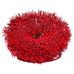 Acaú Armchair