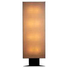 Accademia Floor Lamp by Cini Boeri for Artemide