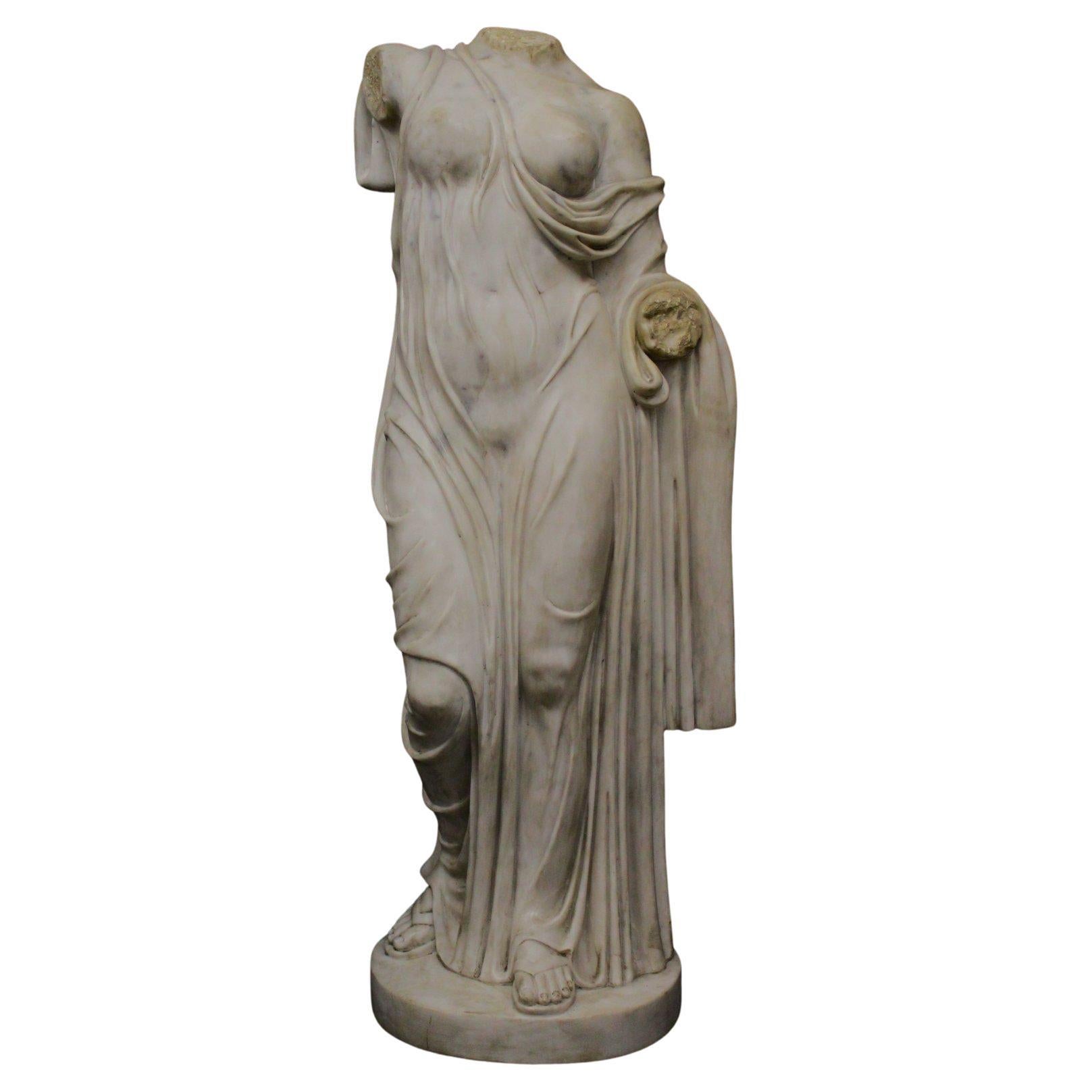 Venere Togato Acefalo