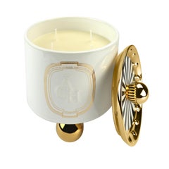 Fig Amber Scented Candle, White Ceramic Candleholder Natural Fragrance, In Stock