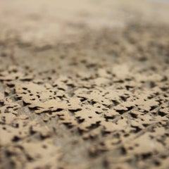 Achille ATTARD  Base della cultura - Incisione laser su cartone alveolare