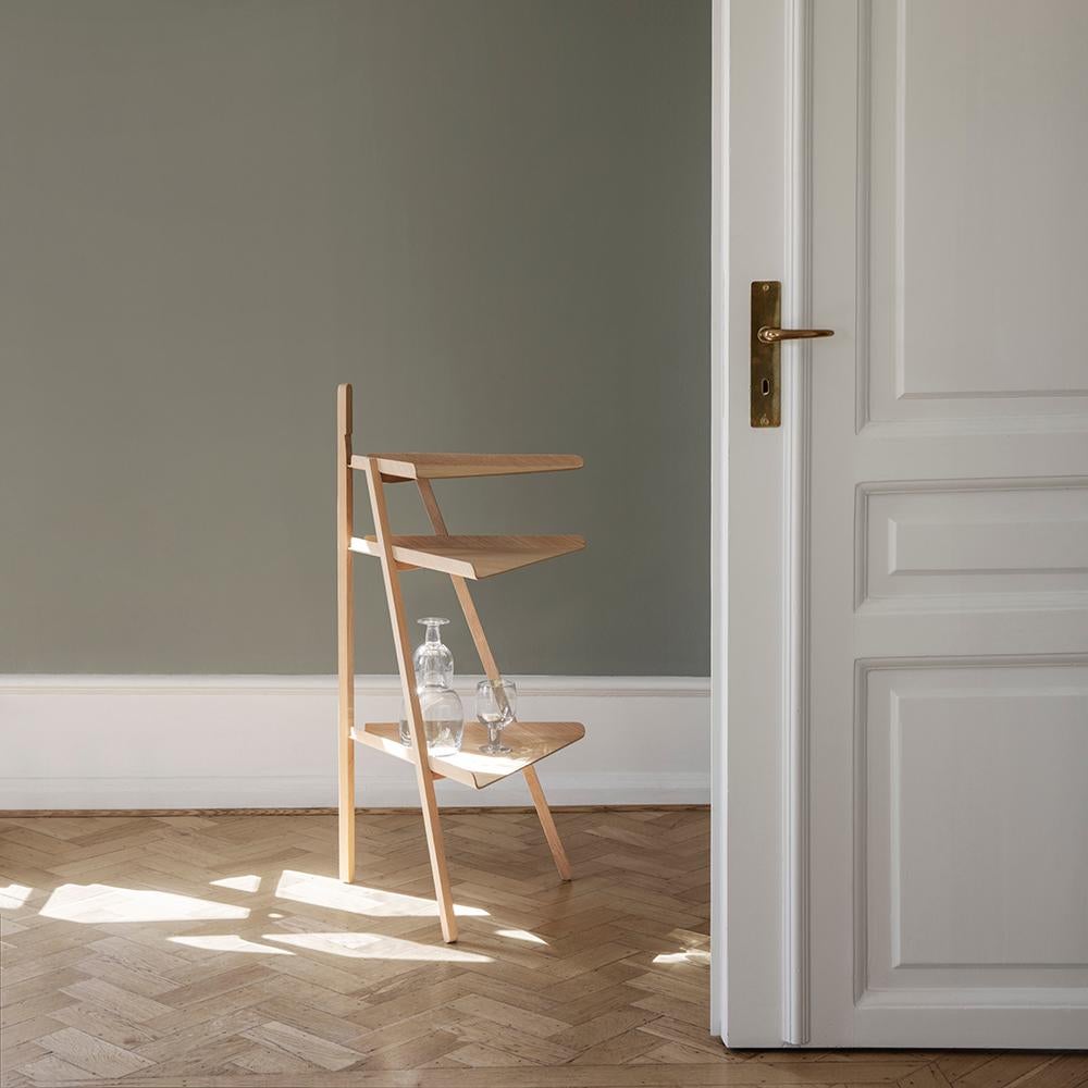 Wood Achille Castiglioni and Giancarlo Pozzi 'Trio' Corner Furniture by Karakter For Sale