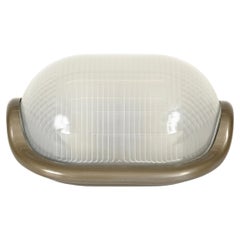 Achille Castiglioni Grey "Noce" Wall, Ceiling or Table Lamp by Flos, Italy 1960