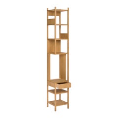 Achille Castiglioni 'Lungangolo' Shelving Unit by Karakter