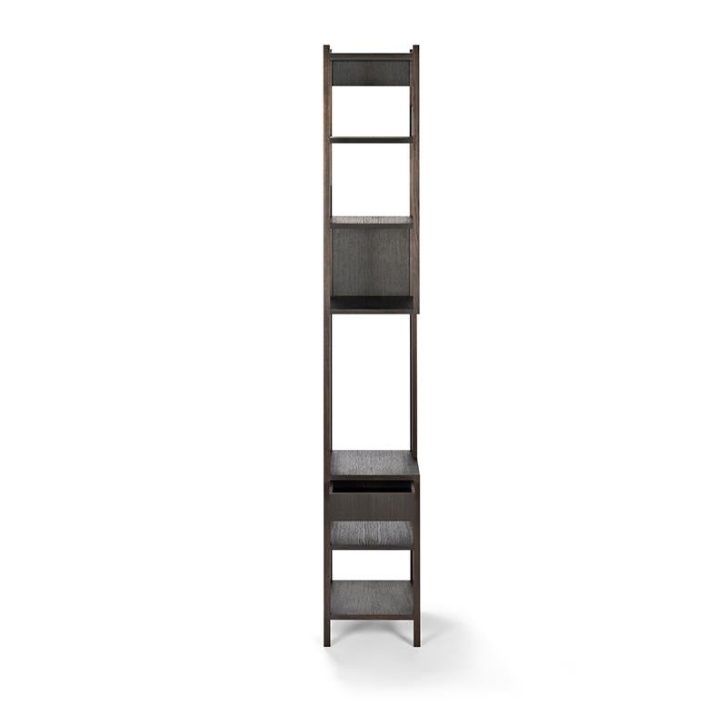 Contemporary Achille Castiglioni 'Lungangolo' Wood Shelving Unit