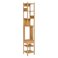 Achille Castiglioni 'Lungangolo' Wood Shelving Unit