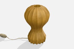 Achille Castiglioni, Table Lamp, Resin, Wood, Italy, 1960s