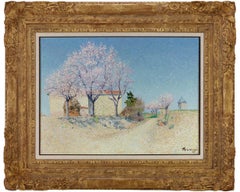Almond Trees in Spring