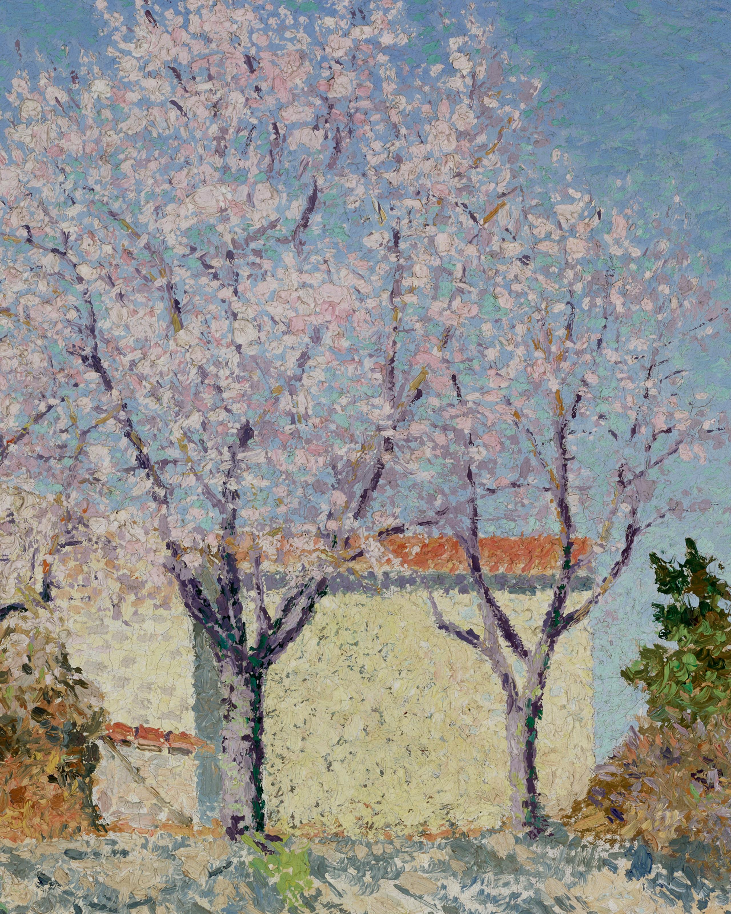 Trees à l'almond au printemps - Post-impressionnisme Painting par Achille Laugé