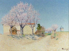 Vintage Almond Trees in Spring