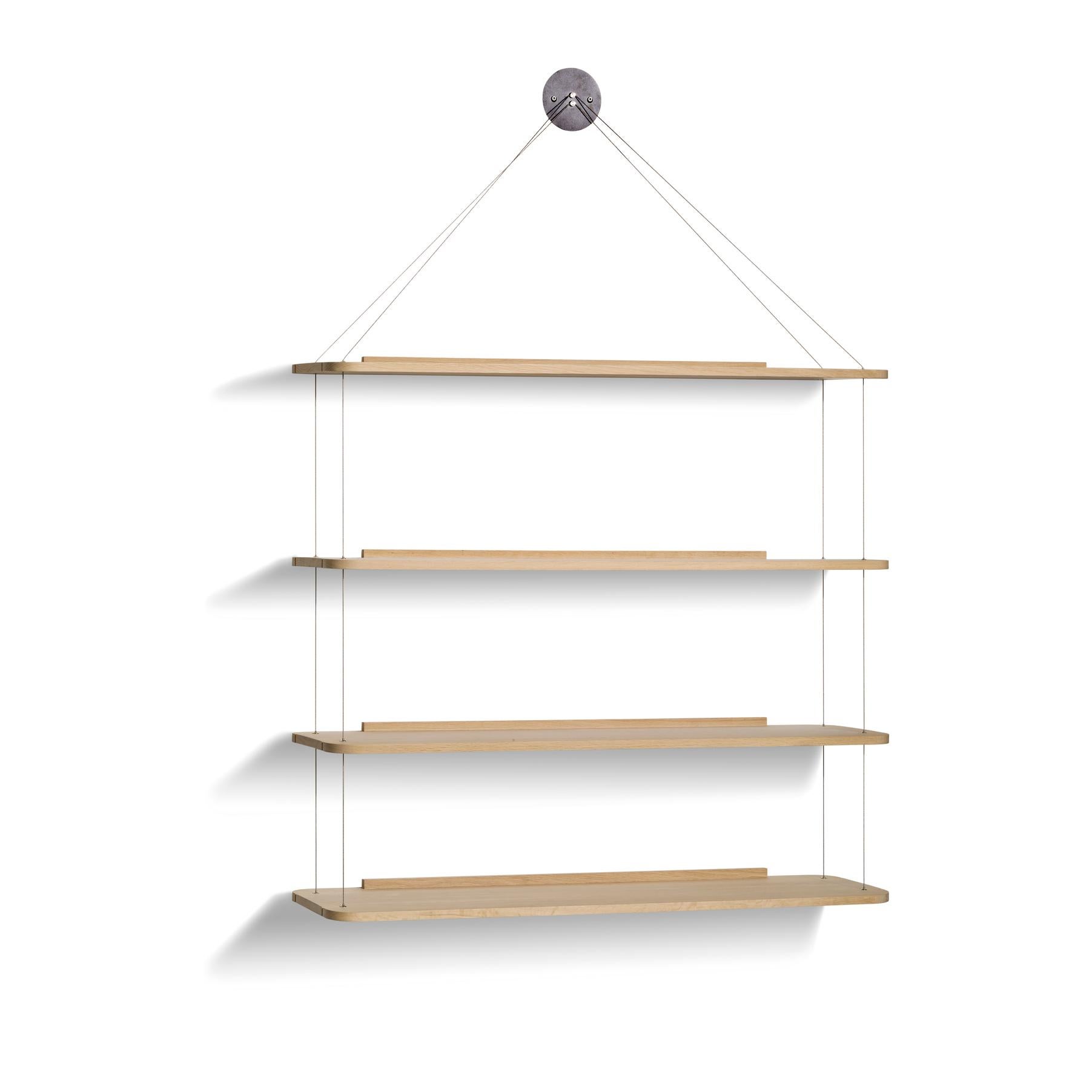 Mid-Century Modern Achille &, Pier Giacomo Castiglioni Clear Libreria Pensile For Karakter For Sale