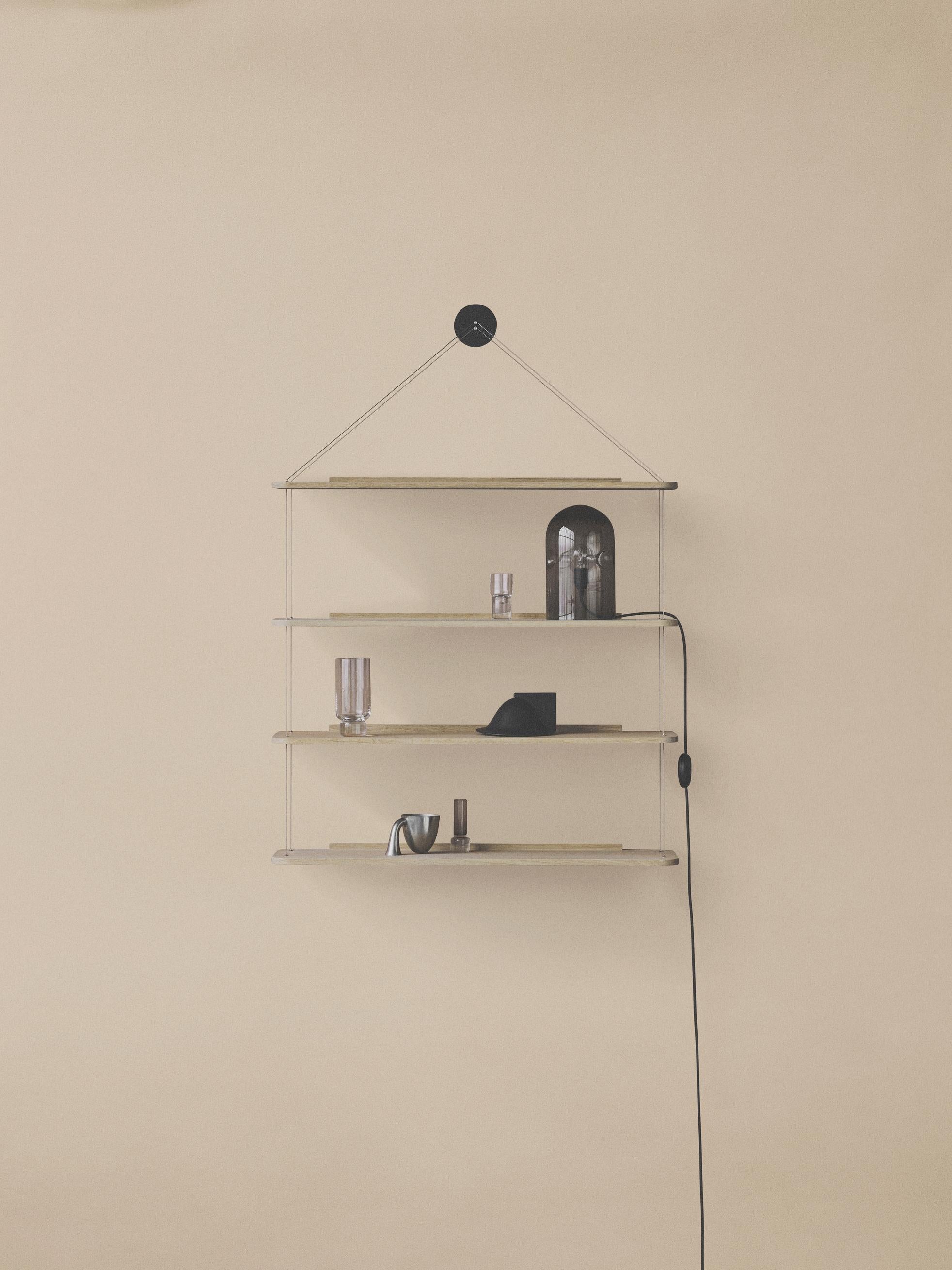 Danish Achille &, Pier Giacomo Castiglioni Clear Libreria Pensile For Karakter For Sale