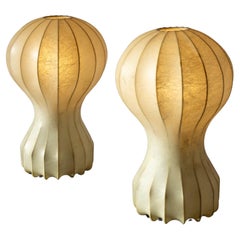 Achille & Pier Giacomo Castiglioni pair of Gatto Piccolo table lamps, Italy 1962