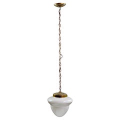 Acorn Style Glass Globe Brass Finish Chain Pendant Light