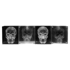 Acrilyc Skull