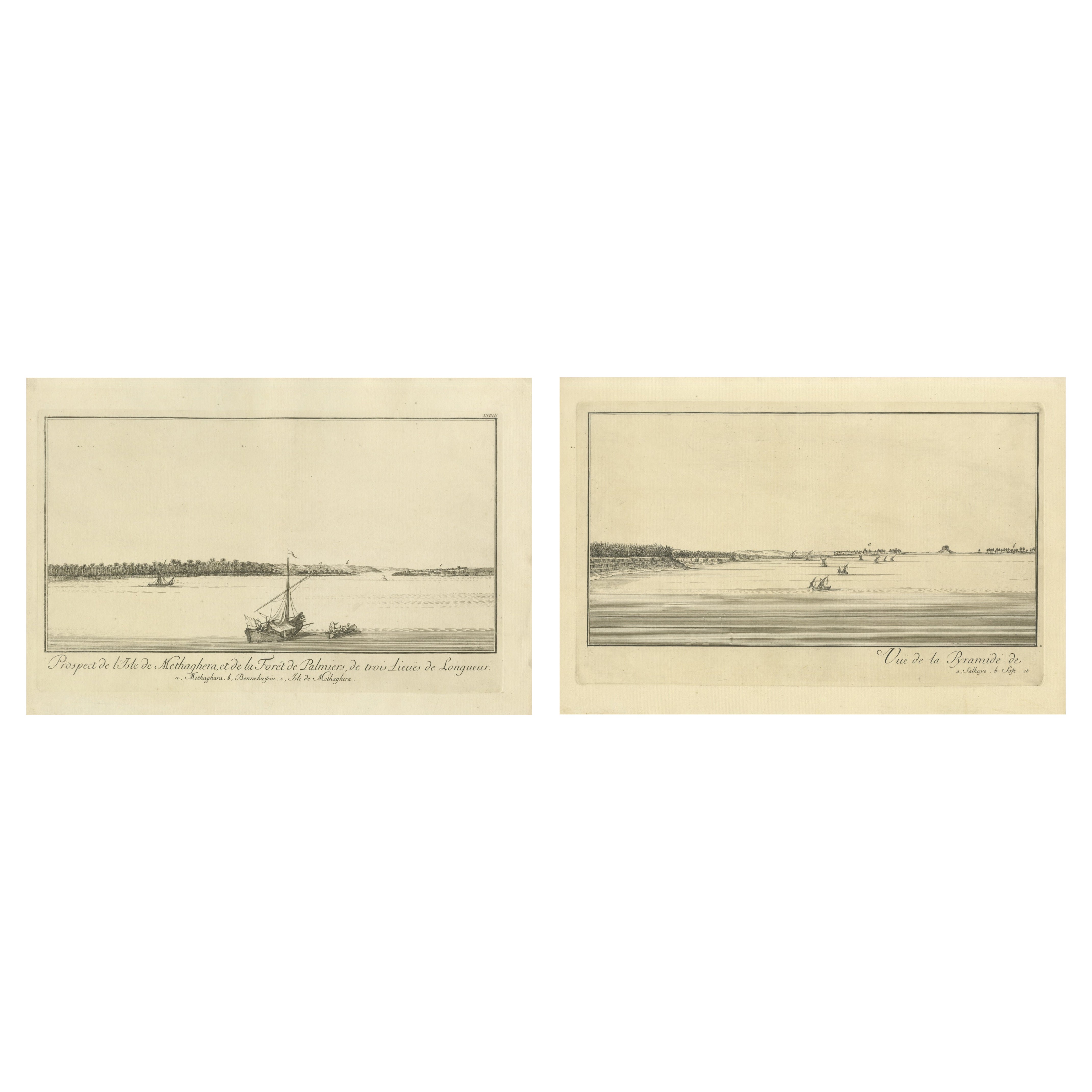 Across the Nile – Pair of Antique Egypt Engravings, Methaghera
Palm Forest
