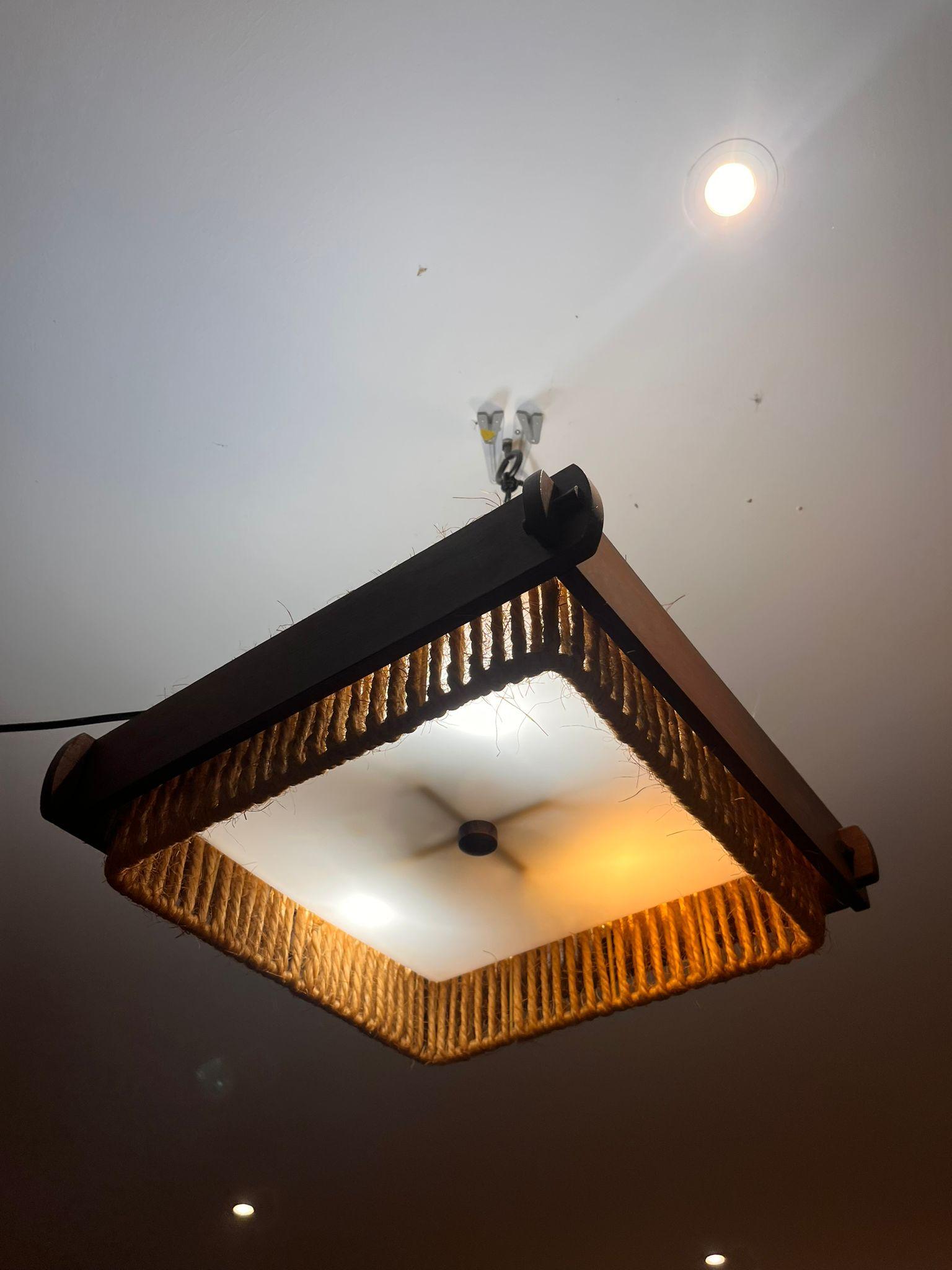 Mid-Century Modern Acryl Wooden Ceiling Light from Temde For Sale