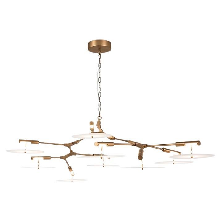 Acrylic and Golden Metal Ceiling Lamp by Thai Natura