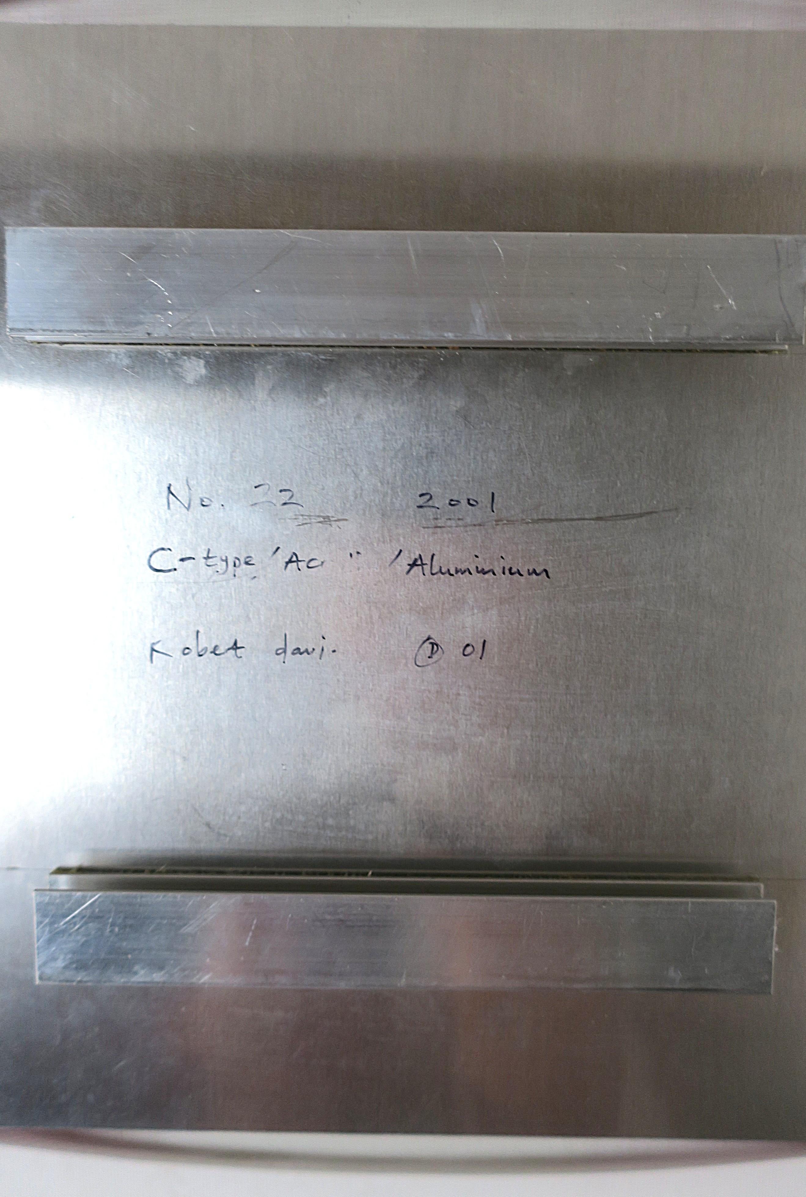 Acrylique Oeuvre d'art contemporain Art mural 2001 Signé et numéroté en vente 6