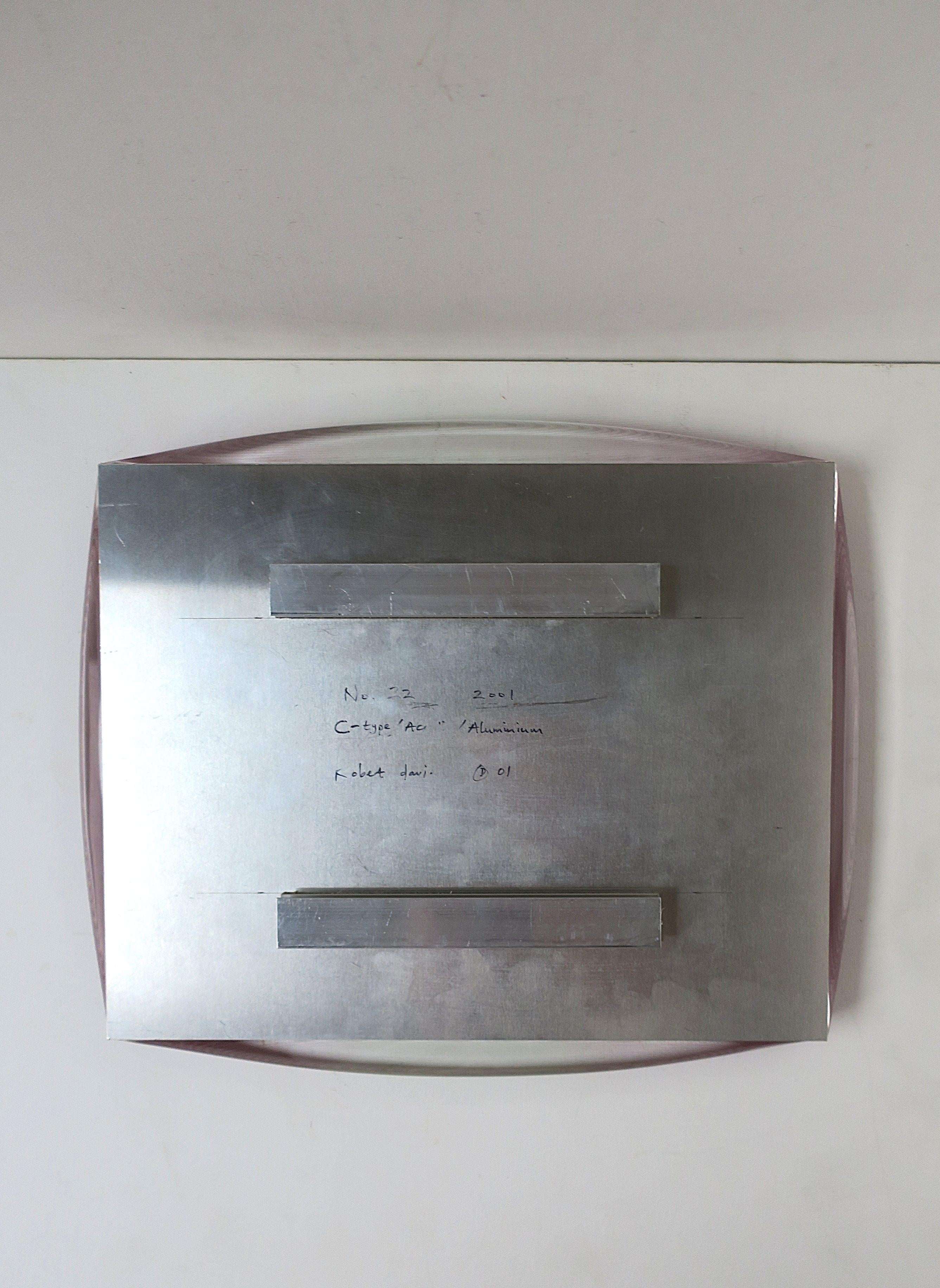 Acrylique Oeuvre d'art contemporain Art mural 2001 Signé et numéroté en vente 7