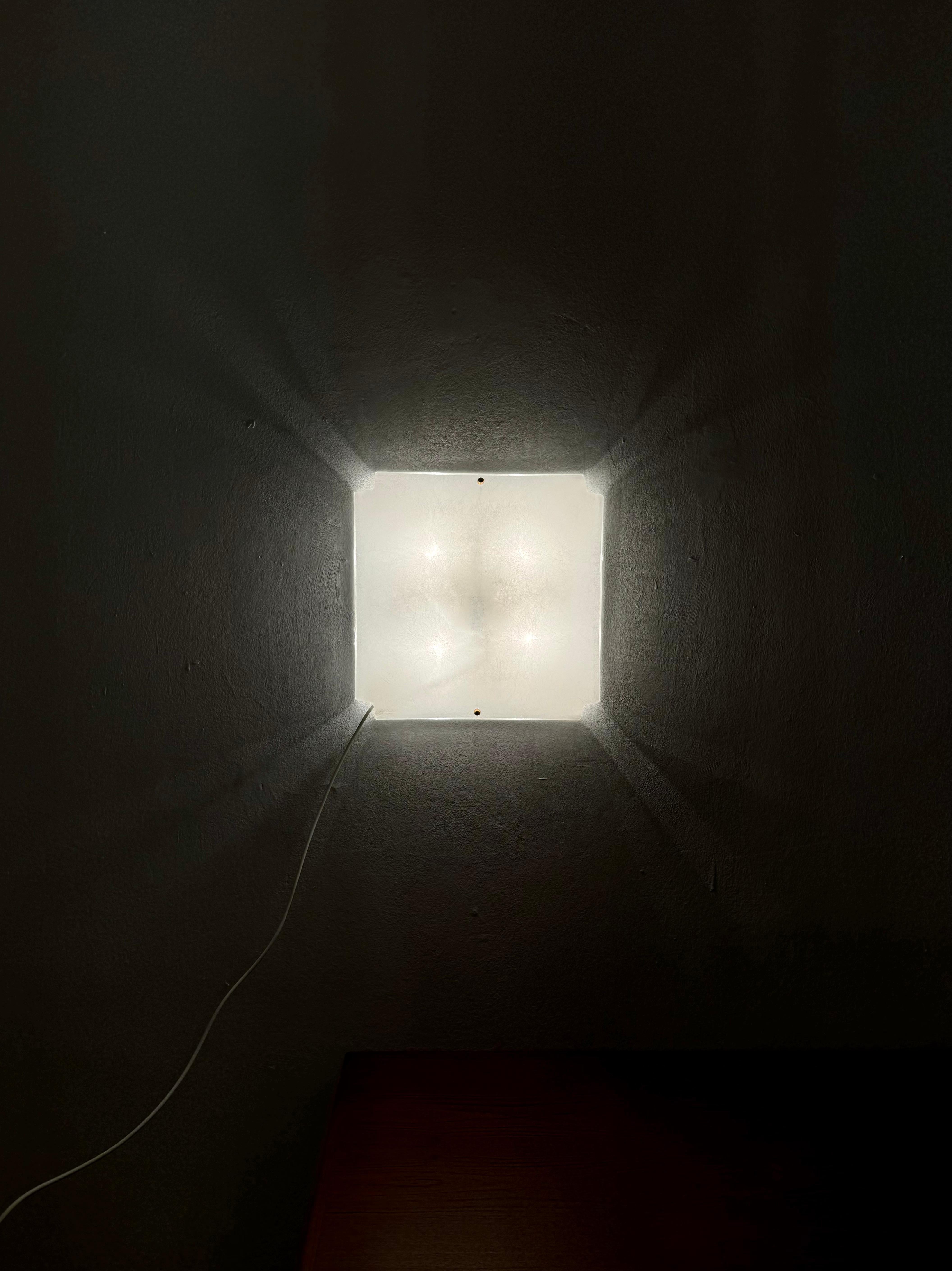 Acrylic Flush Lamp For Sale 3