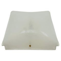 Acrylic Flush Lamp