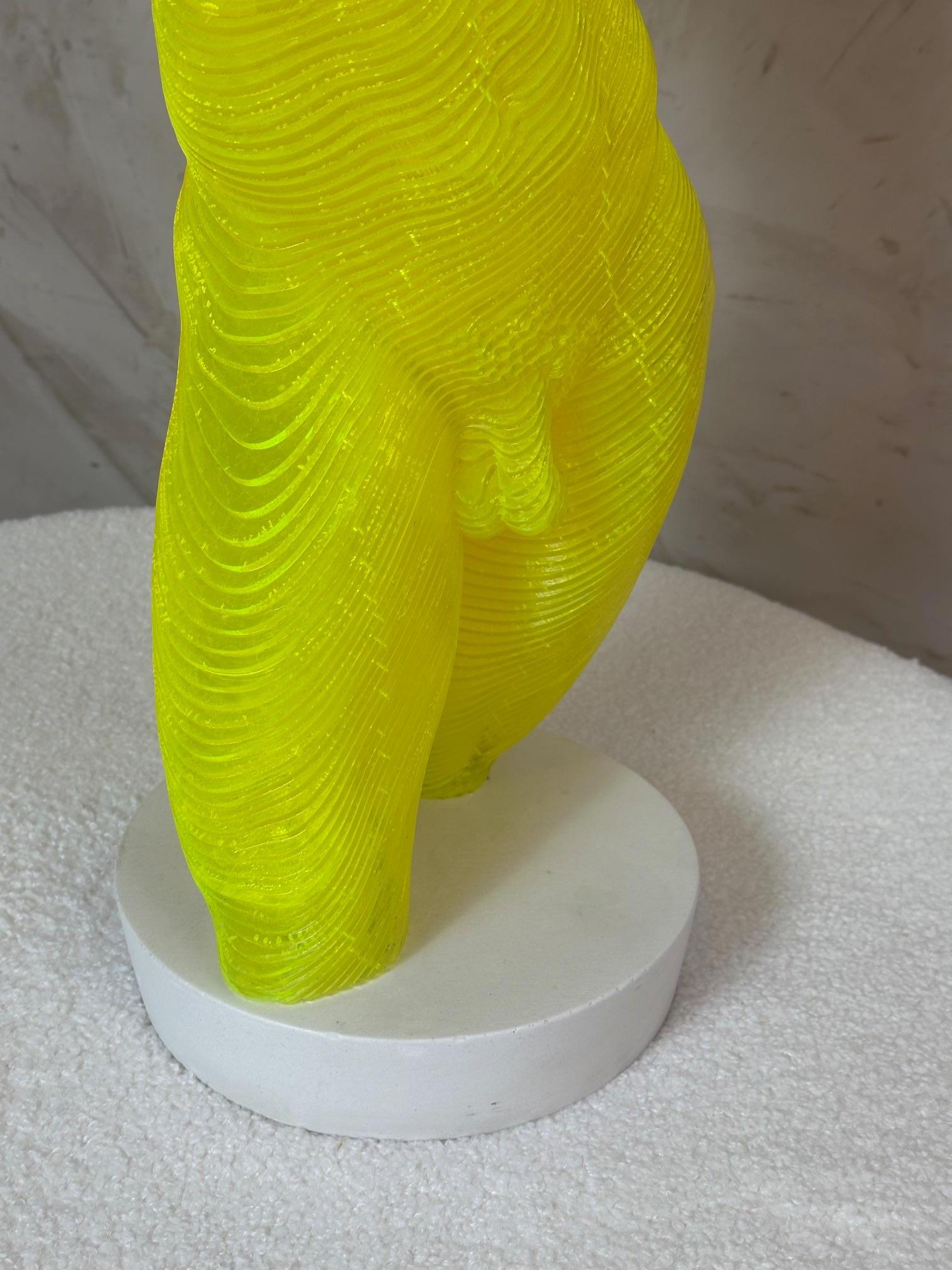 Corpo maschile in acrilico Scultpure Edizione limitata di Olivier Duhamel, 2016s in vendita 4