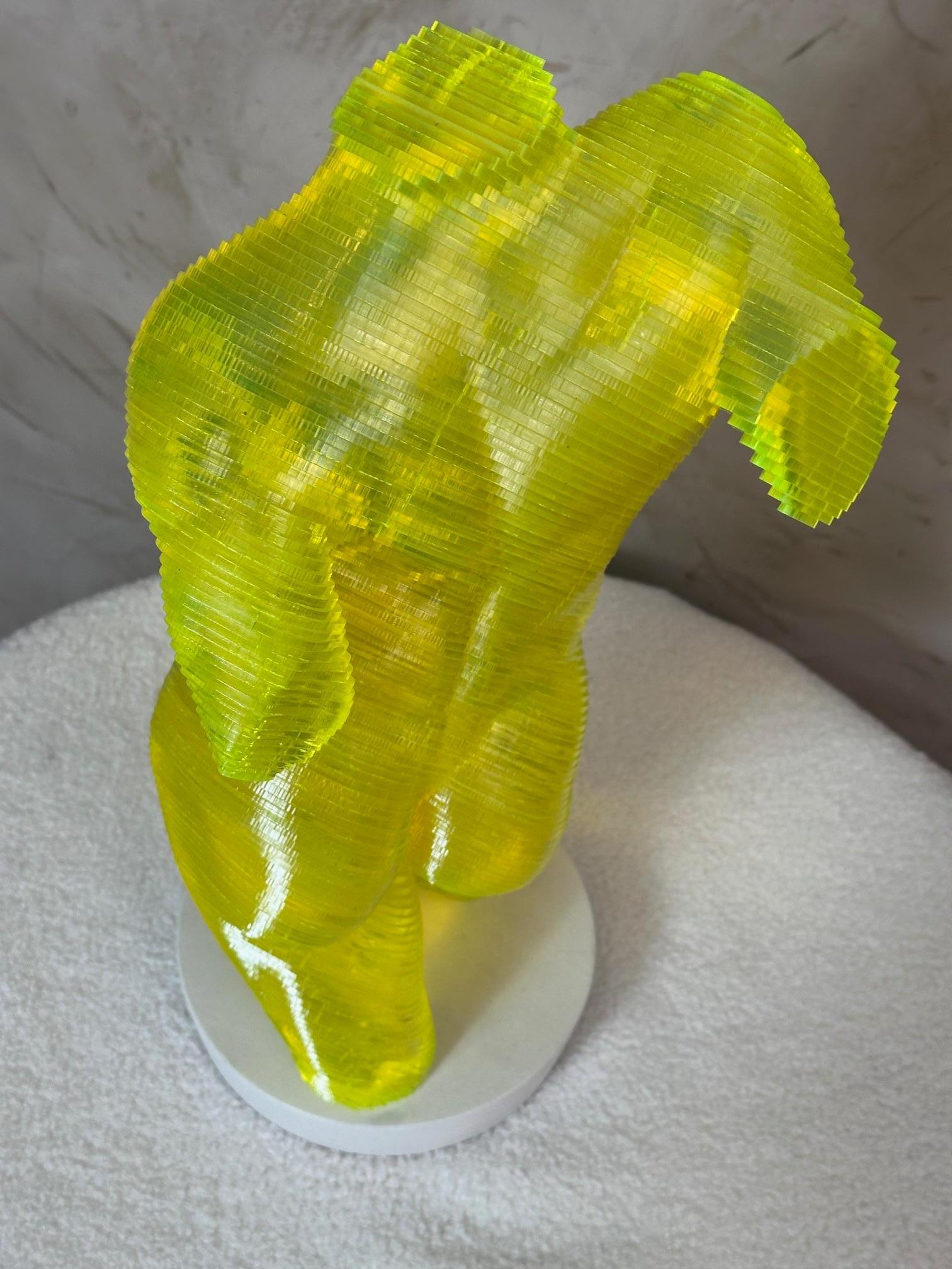 Corpo maschile in acrilico Scultpure Edizione limitata di Olivier Duhamel, 2016s in vendita 5